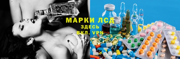 гашик Алексеевка