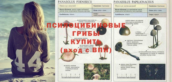 гашик Алексеевка
