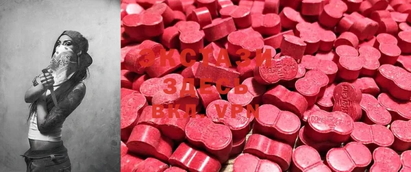 ECSTASY Алзамай