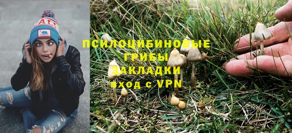 ECSTASY Алзамай