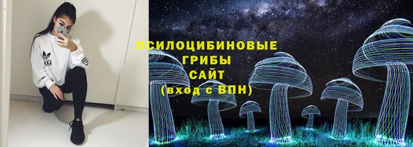 гашик Алексеевка