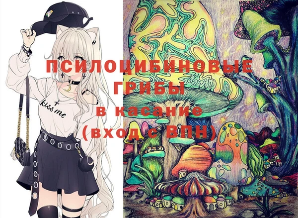 ECSTASY Алзамай