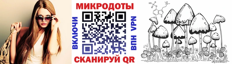 Купить где  Ливны  Псилоцибиновые грибы мухоморы 